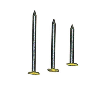 Chiodi P/Quadri Testa Ricop Ott 2X30 mm da 100 PZ