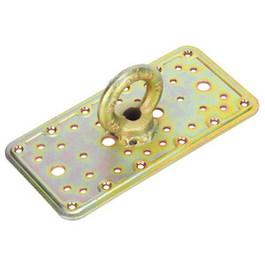 Piastra 862 C/Occhiolo Acc Trop 100X3,0X200MM