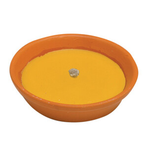 Citronella in Coccio Antivento D 18 cm