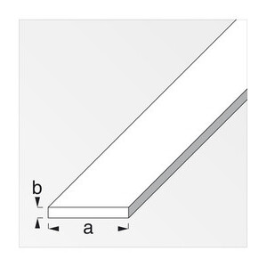 Profilo Bianco H.200 cm Piatto 30X2 mm