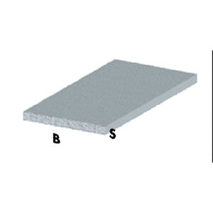Profilo Argento H.200 cm Piatto 15X2 mm