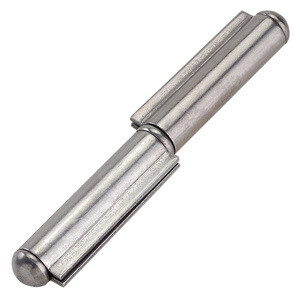 Cerniera P/Ferro 110 Perno Fisso 170 mm