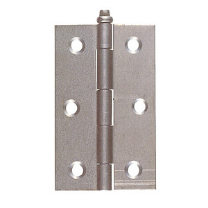 Cerniera Perno Sfilabile 88 Ferro Leggero 33X 50 mm