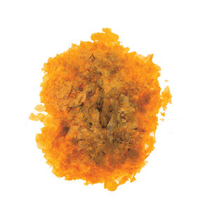 SC Gomma Lacca 40 G