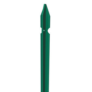 Paletto Plastificato 225 cm T 30X3,0 2,82 kg