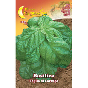 Semi Orto Basilico Foglia Lattuga