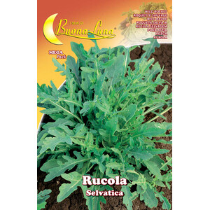 Semi Orto Rucola Selvatica