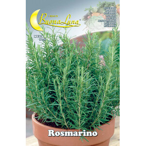 Semi Orto Rosmarino
