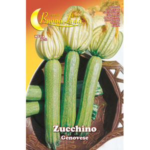 Semi Orto Zucchino Genovese