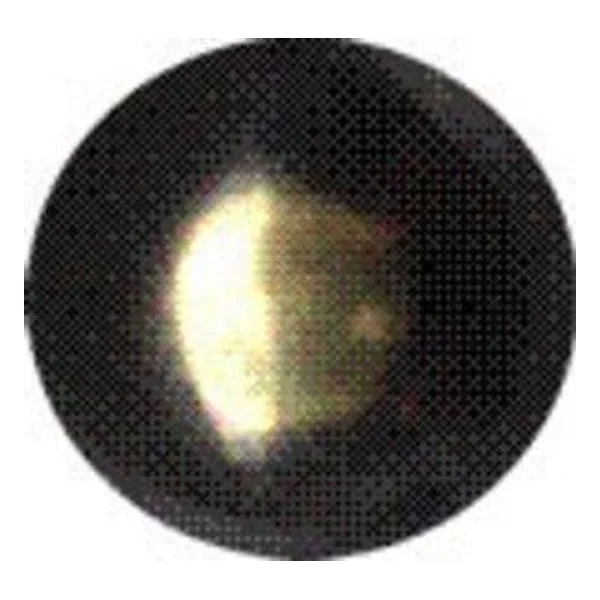 Bulletta Tappezziere Liscia Bron Sfum 10 mm 1000 PZ – cod. CPD32978