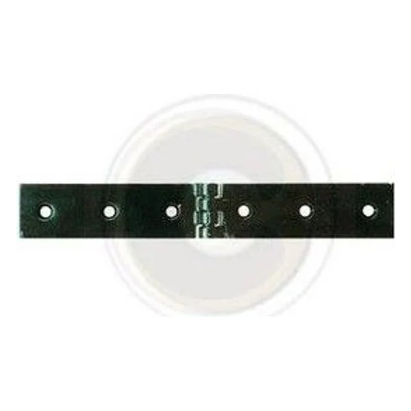 Cerniera a Libretto Acciaio per Casse 200 x 30 mm – cod. CPD11055