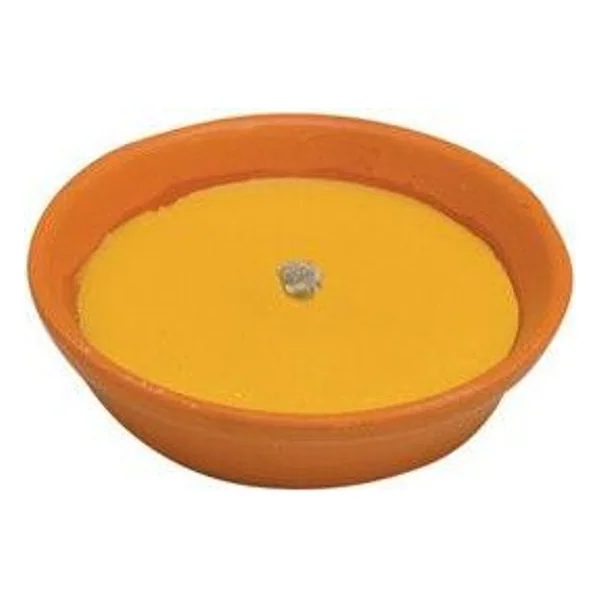 Citronella in Coccio Antivento D 11 cm – cod. CPD12585