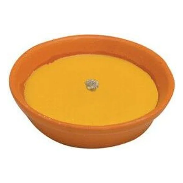 Citronella in Coccio Antivento D 14 cm – cod. CPD16410
