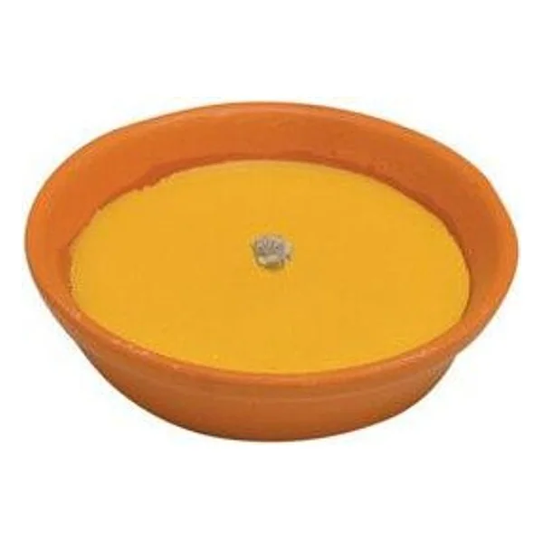 Citronella in Coccio Antivento D 18 cm – cod. CPD16438