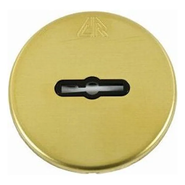 CR 30 Mostrina per Serratura DM Dorata – cod. CPD5412