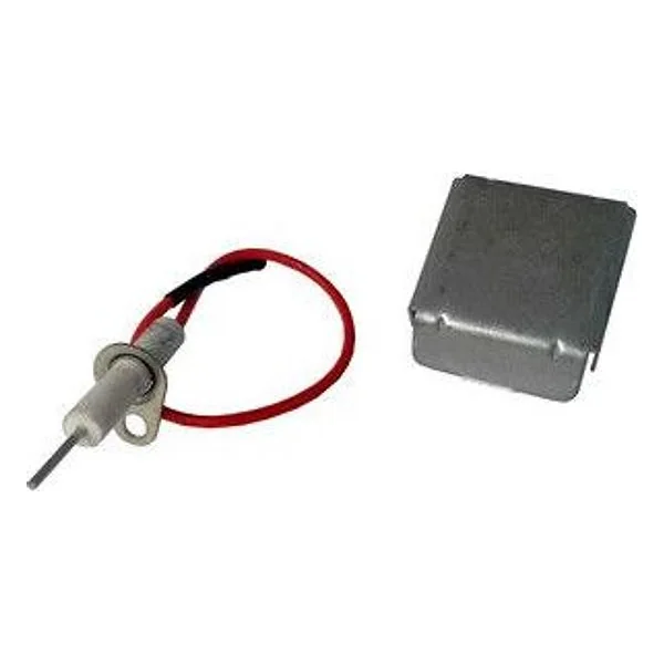 R BBQ Elettrodo con Supporto Expert-De Luxe – cod. CPD92321