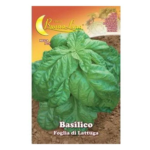 Semi Orto Basilico Foglia Lattuga – cod. CPD74506