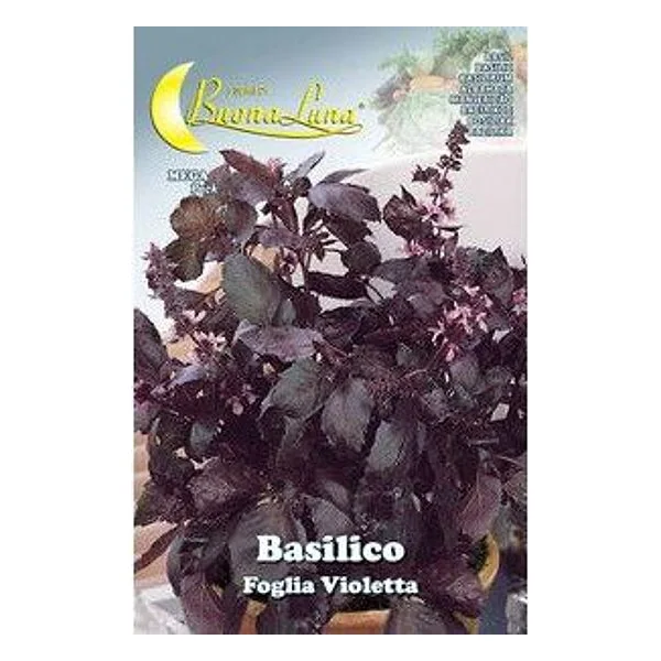 Semi Orto Basilico 'Foglia Violetta' – cod. CPD74771