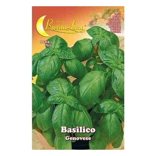 Semi Orto Basilico Genovese – cod. CPD74503