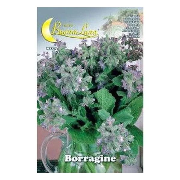 Semi Orto Borragine – cod. CPD75160