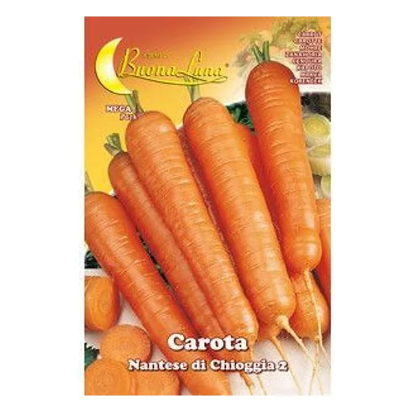 Semi Orto Carota di Chioggia – cod. CPD92526