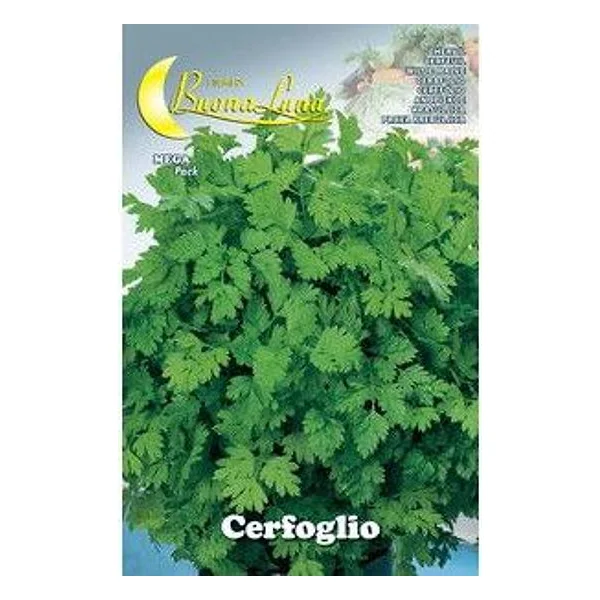 Semi Orto Cerfoglio – cod. CPD75161