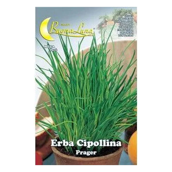 Semi Orto Erba Cipollina – cod. CPD76221