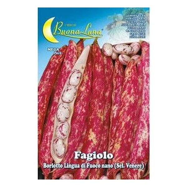 Semi Orto Fagioli Nani Borlotti – cod. CPD92541