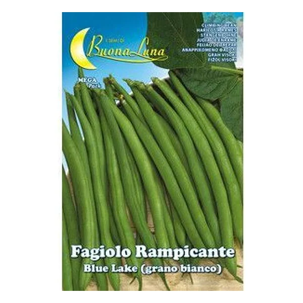 Semi Orto Fagioli Rampicanti Bianchi – cod. CPD92542