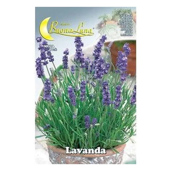 Semi Orto Lavanda – cod. CPD76475