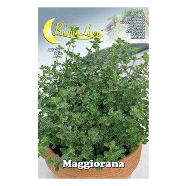 Semi Orto Maggiorana – cod. CPD76476