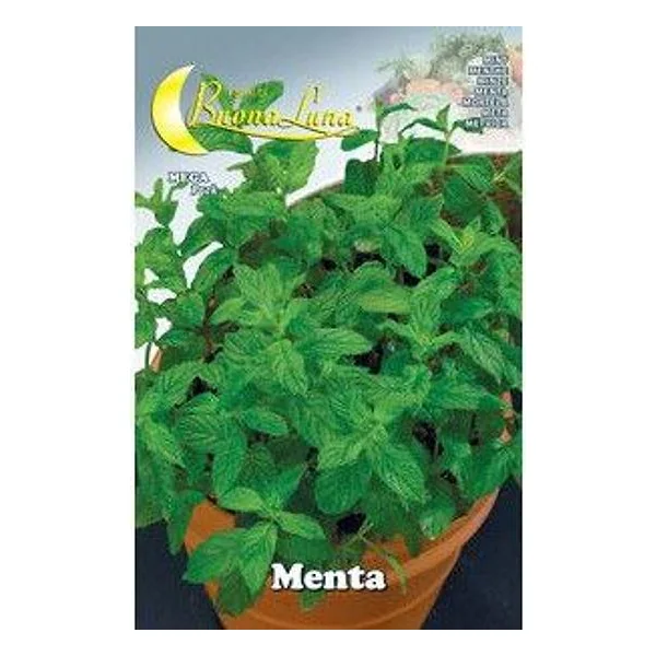 Semi Orto Menta – cod. CPD76484