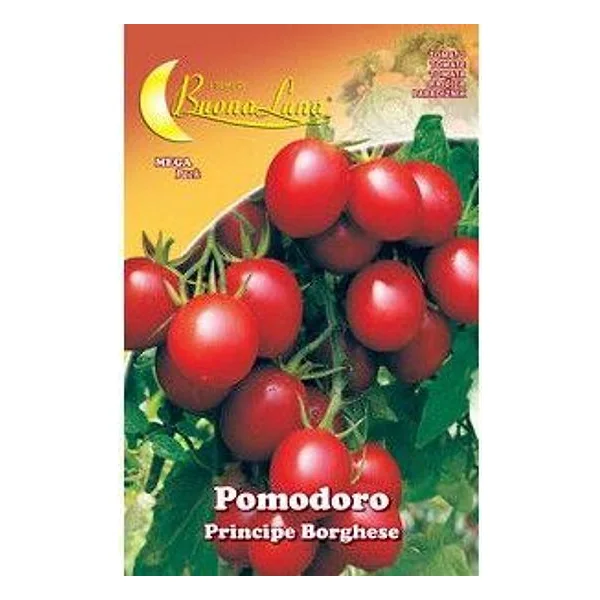Semi Orto Pomodoro Ciliegino – cod. CPD74551