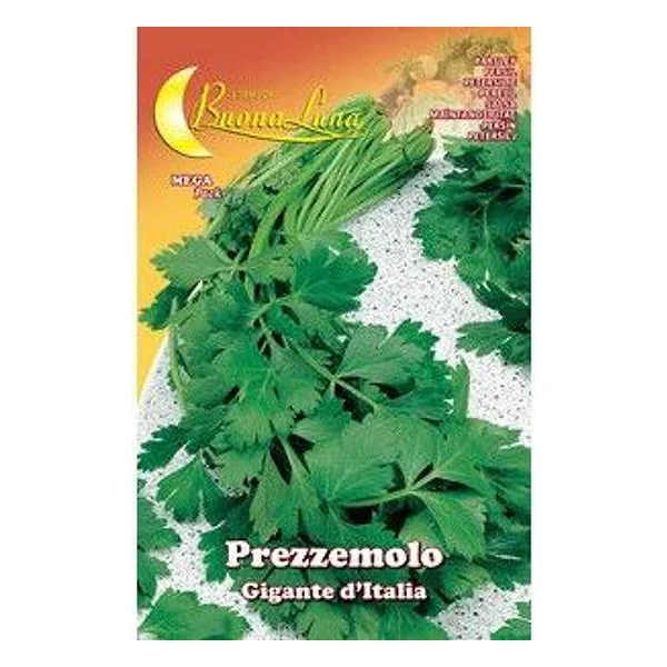 Semi Orto Prezzemolo Gigante – cod. CPD76648