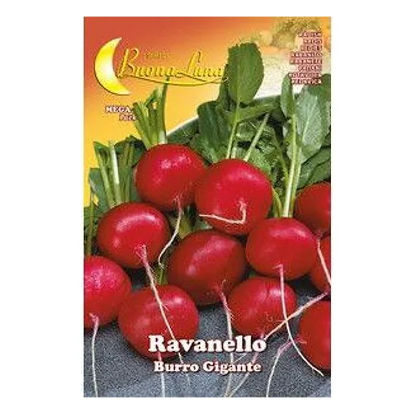 Semi Orto Ravanello Gigante – cod. CPD92533