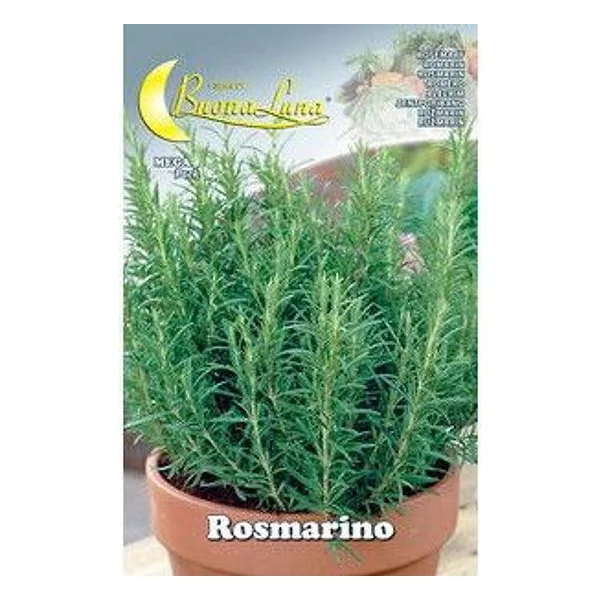 Semi Orto Rosmarino – cod. CPD76486
