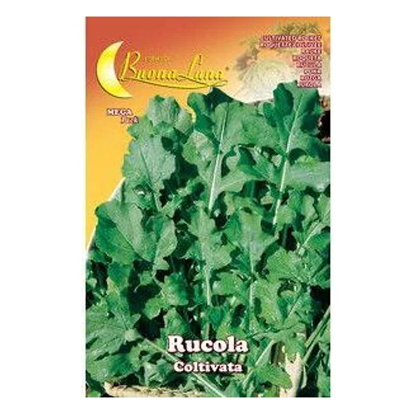 Semi Orto Rucola Coltivata – cod. CPD74667