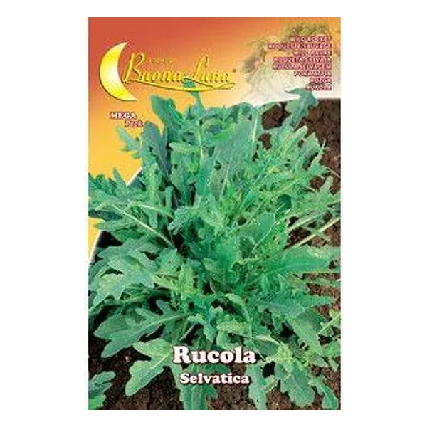 Semi Orto Rucola Selvatica – cod. CPD74755