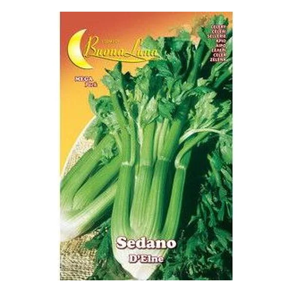 Semi Orto Sedano D'Elne – cod. CPD74769