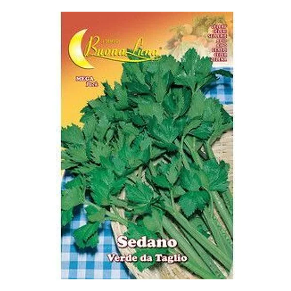 Semi Orto Sedano Verde da Taglio – cod. CPD74768