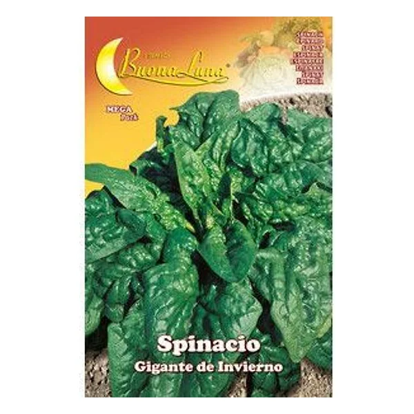 Semi Orto Spinaci Giganti – cod. CPD92535