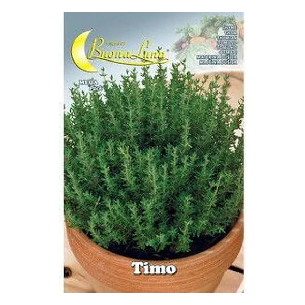 Semi Orto Timo – cod. CPD76501