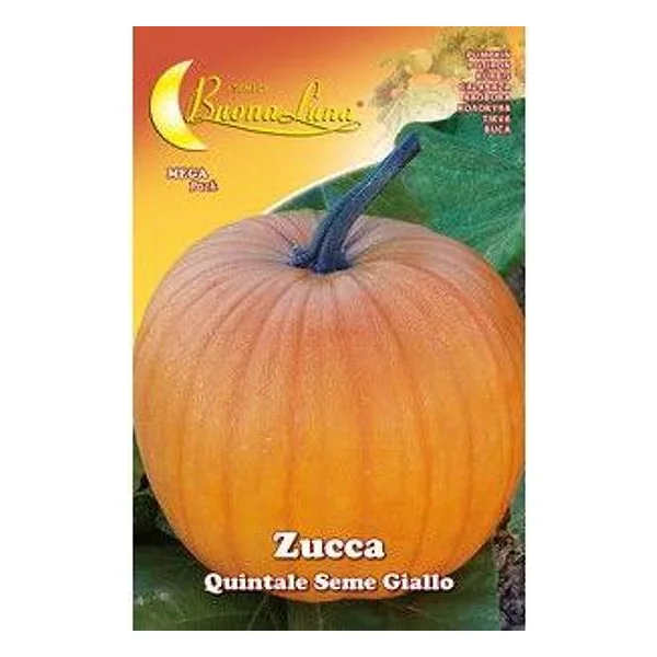 Semi Orto Zucca Quintale – cod. CPD92536