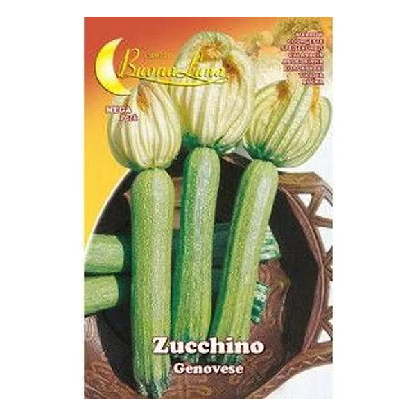 Semi Orto Zucchino Genovese – cod. CPD92539
