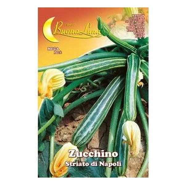 Semi Orto Zucchino Striato Napoli – cod. CPD92538