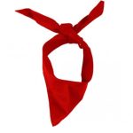 bandana-cotone (2)